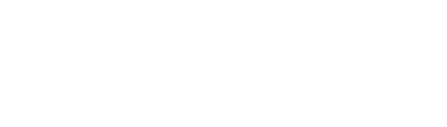 Mike Trader